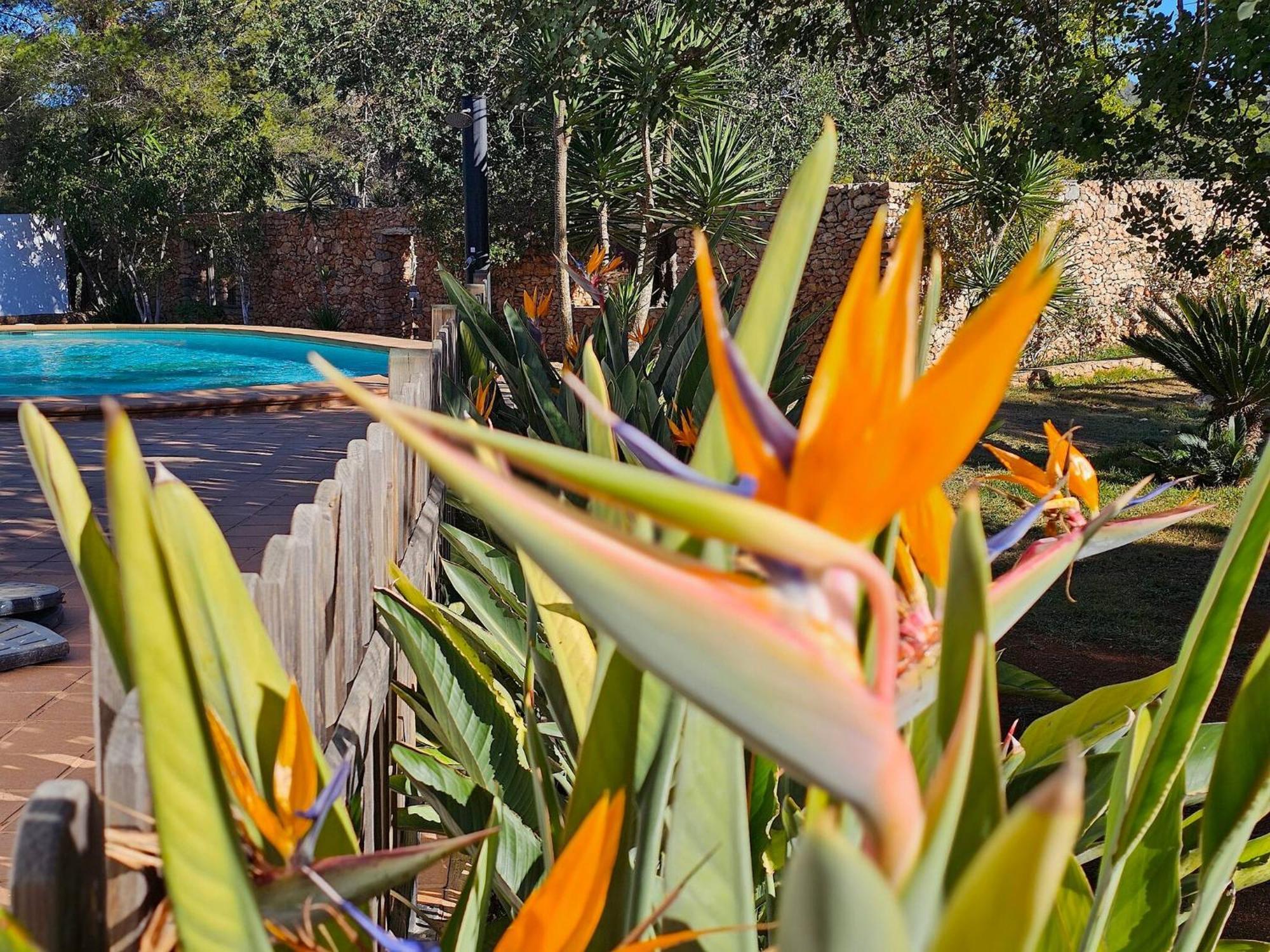 סן חוזה דה סא טלאיה Cala Jondal "Can Amanaya" מראה חיצוני תמונה