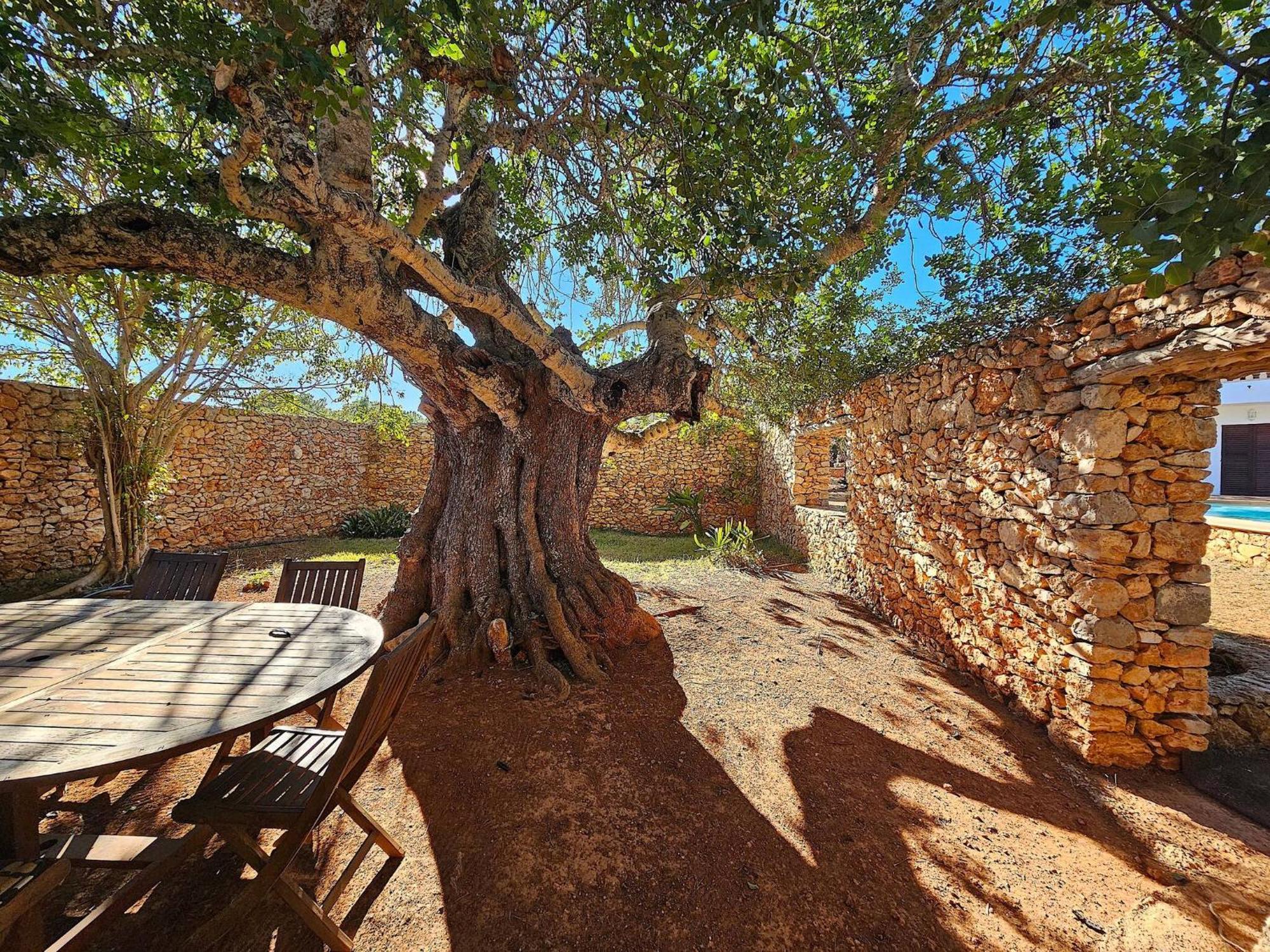 סן חוזה דה סא טלאיה Cala Jondal "Can Amanaya" מראה חיצוני תמונה