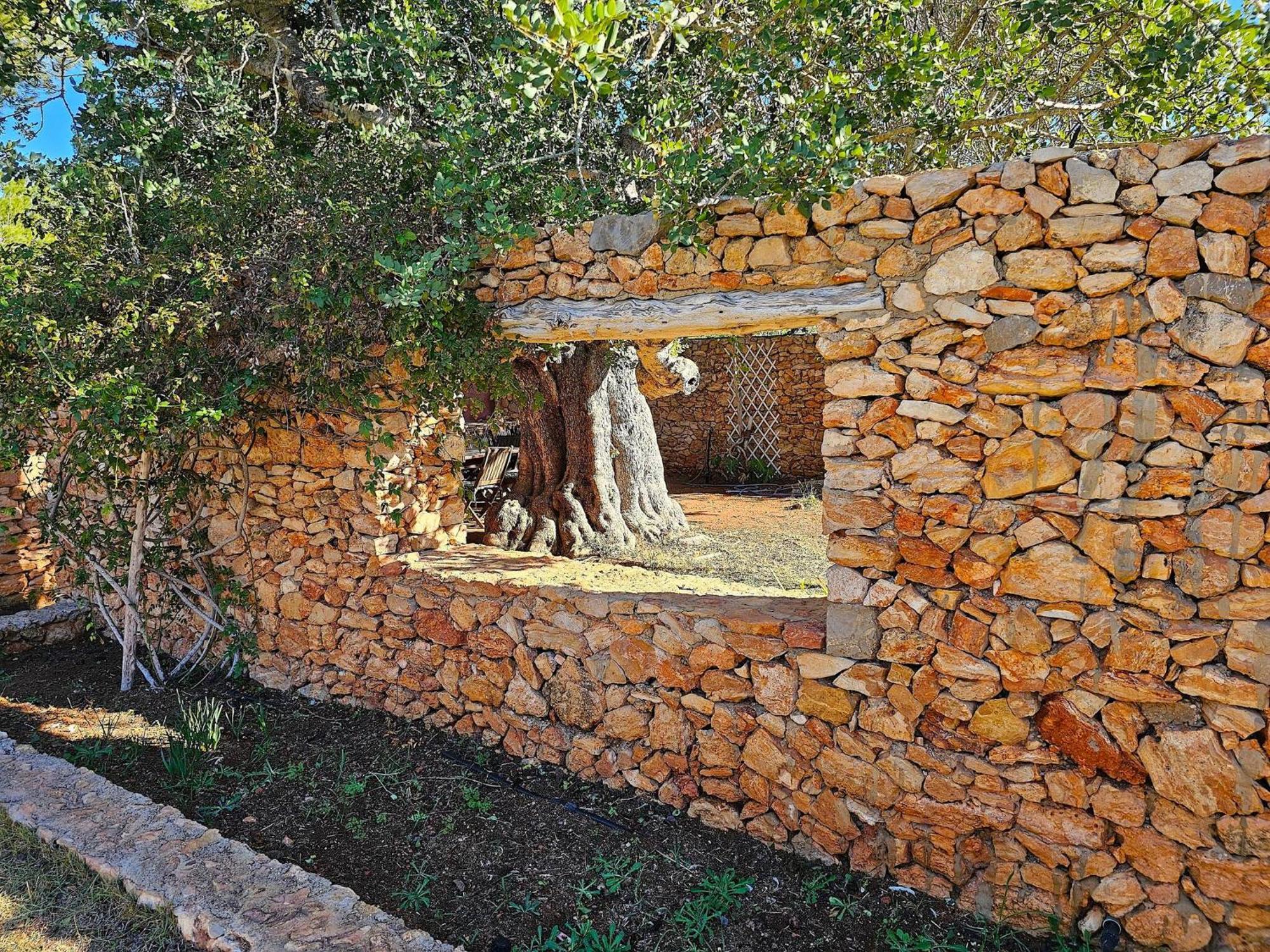 סן חוזה דה סא טלאיה Cala Jondal "Can Amanaya" מראה חיצוני תמונה